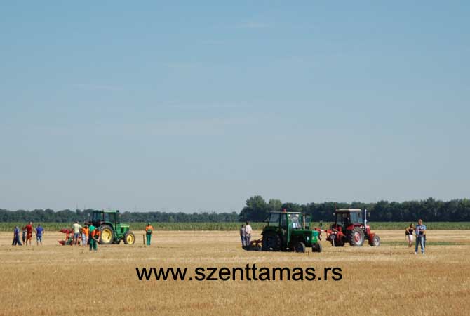 szenttamasi_barazda_2015_aug_1_kepek_5
